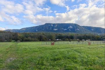 Фото №4: Коммерция 124 м² - Гуамка, ул. Нижегородская