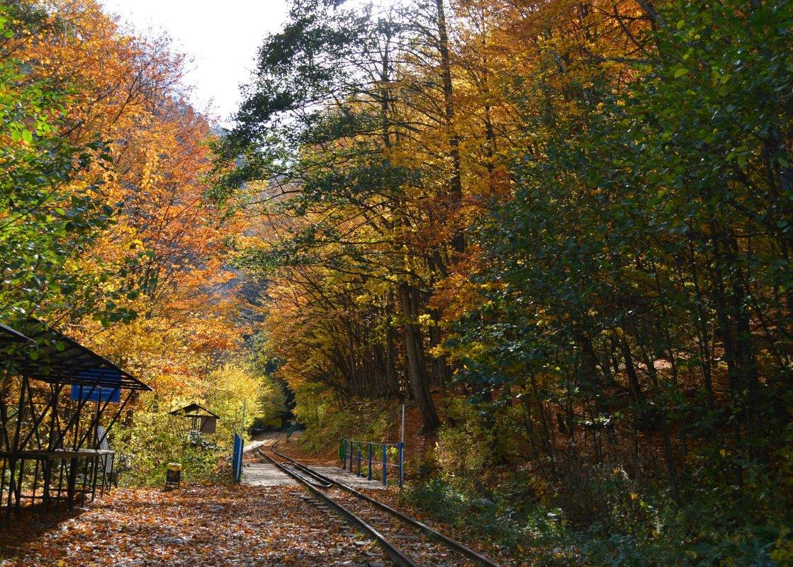 Фото №6: Коммерция 124 м² - Гуамка, ул. Нижегородская
