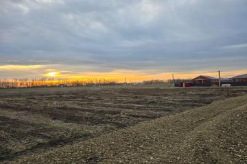 Фото №4: Земельный участок 6 сот. - Копанской, мкр. Прикубанский внутригородской округ, 