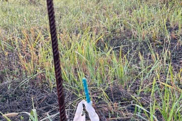 Фото №5: Земельный участок под ИЖС 6.59 сот. - Хомуты, 