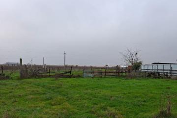 Фото №2: Земельный участок 22 сот. - Афипсип, ул. Степная, 19