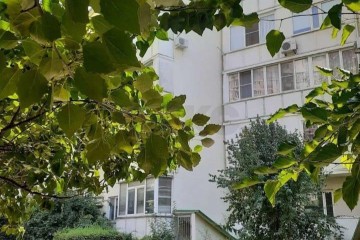 Фото №3: Офисное помещение 37 м² - Краснодар, мкр. Комсомольский, ул. Тюляева, 2