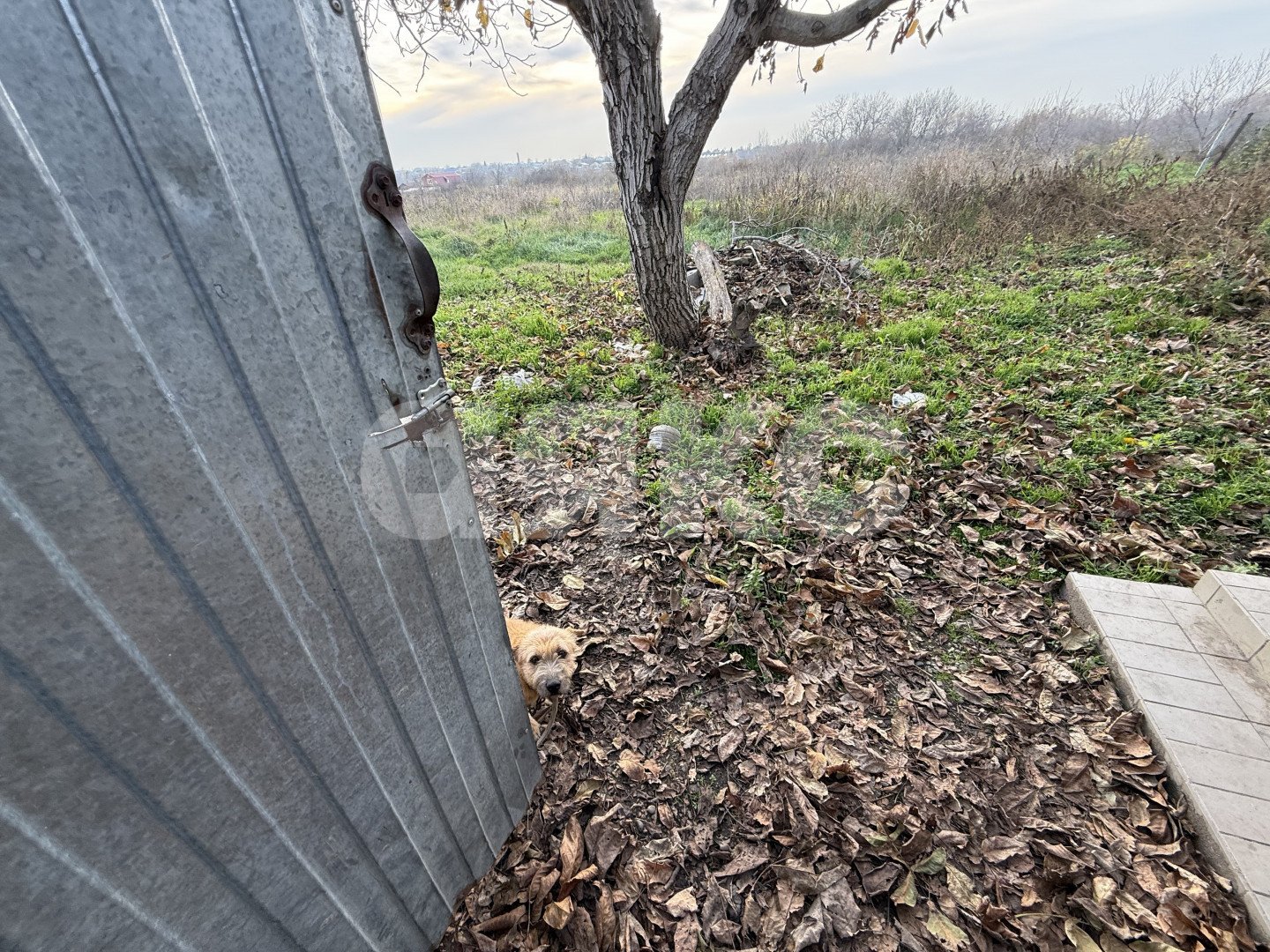 Фото №37: Дом 80 м² + 31 сот. - Гиагинская, ул. Красная, 203