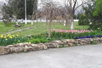 Фото №2: Коммерция 18 м² - Натухаевская, 