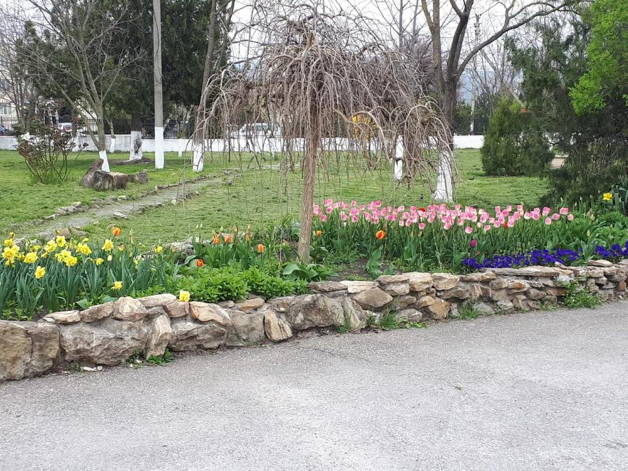 Фото №2: Коммерция 18 м² - Натухаевская