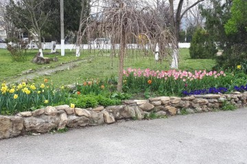 Фото №2: Личное подсобное хозяйство 19 сот. - Натухаевская, 