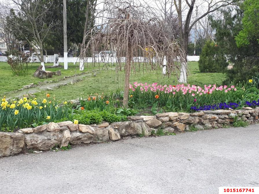 Фото №2: Личное подсобное хозяйство 19 сот. - Натухаевская