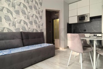 Фото №1: 1-комнатная квартира 23 м² - Новая Адыгея, мкр. жилой комплекс Родной Дом, ул. Бжегокайская, 31/8к1