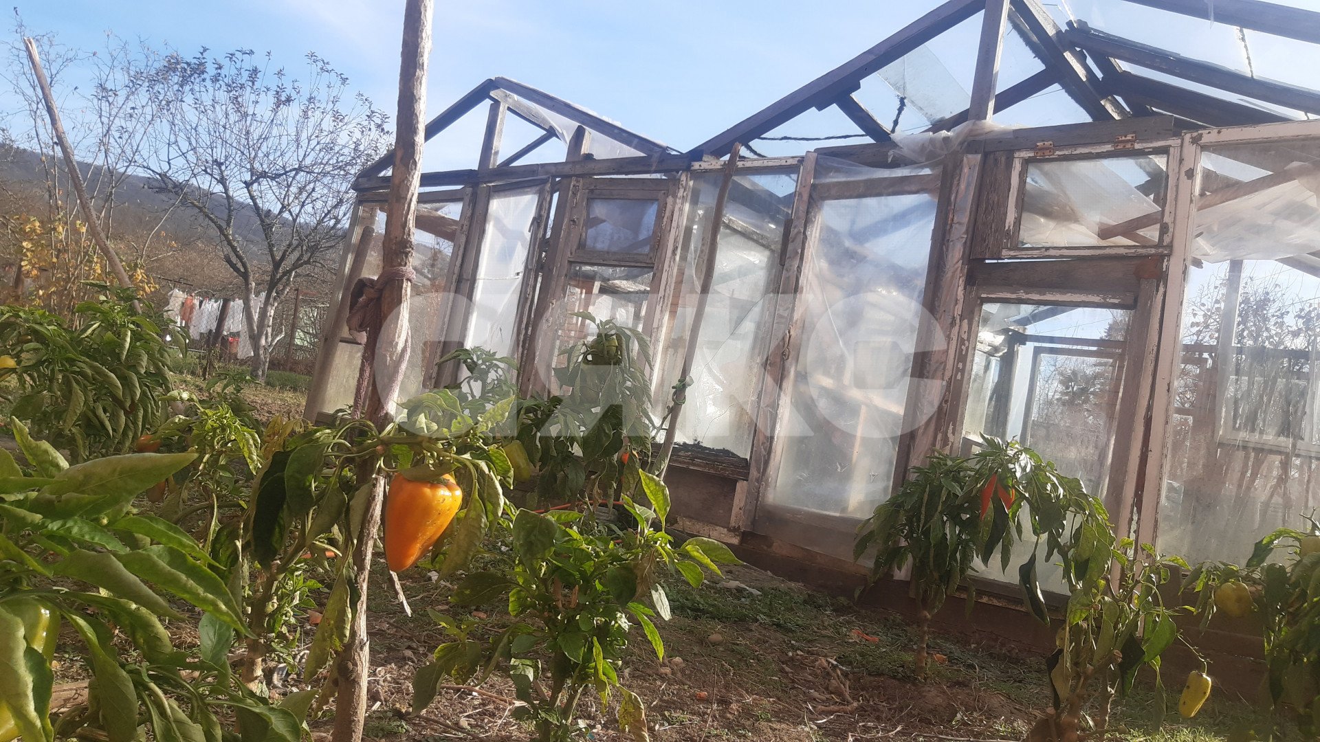 Фото №35: Дом 96 м² + 11.5 сот. - Безымянное, ул. Дивногорская