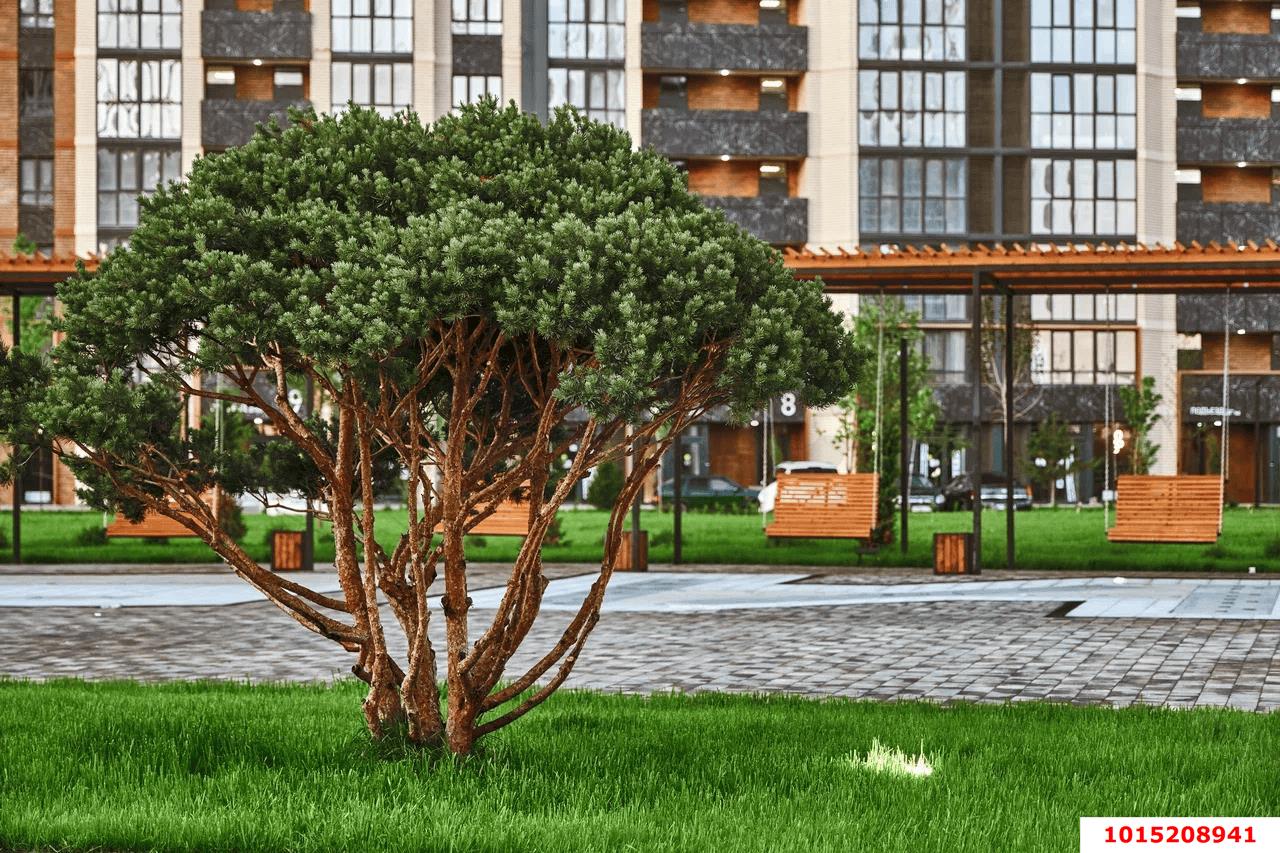 Фото №6: 1-комнатная квартира 41 м² - Краснодар, Образцово, ул. Адмирала Макарова, 5