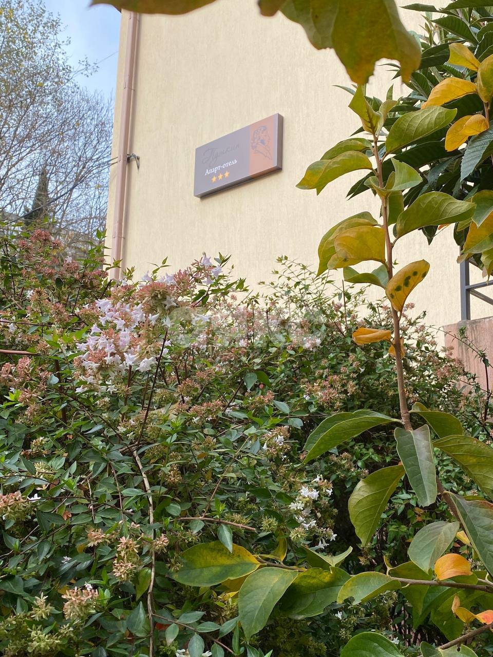 Фото №13: Студия 18 м² - Сочи, Новый Сочи, ул. Пирогова, 10/12