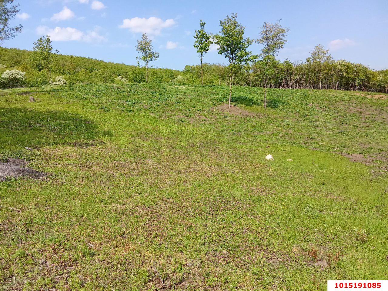 Фото №7: Земельный участок под ИЖС 19 сот. - Азовская, ул. Плавневая, 30/3