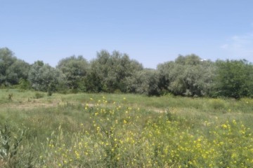 Фото №2: Земельный участок под ИЖС 8 сот. - Козет, 