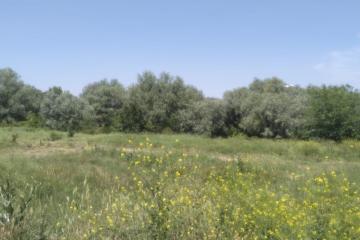 Фото №2: Земельный участок 8 сот. - Козет, 