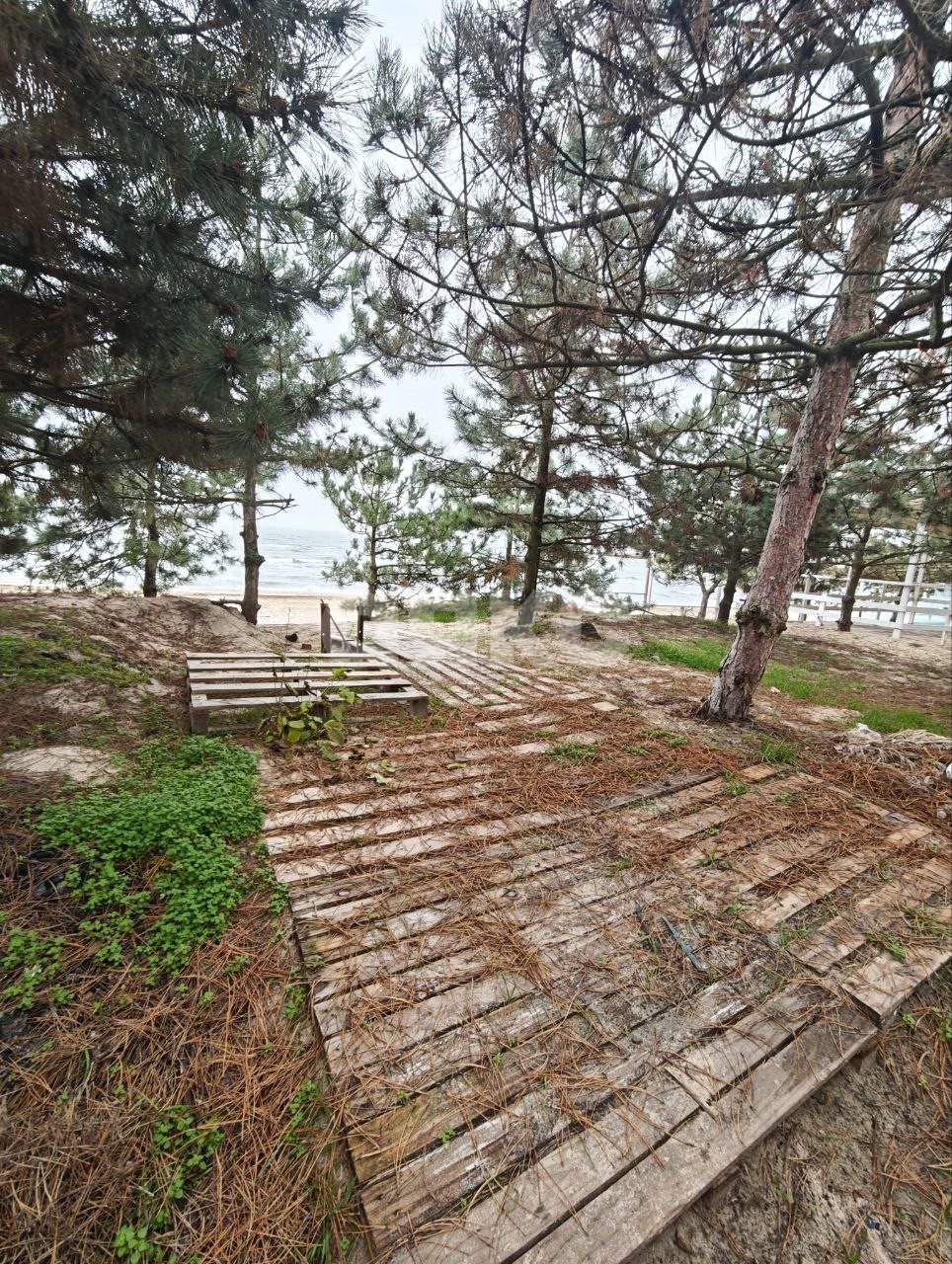 Фото №33: Дом 369 м² + 11.91 сот. - Мариуполь, Песчаный, ул. Большая Морская, 151