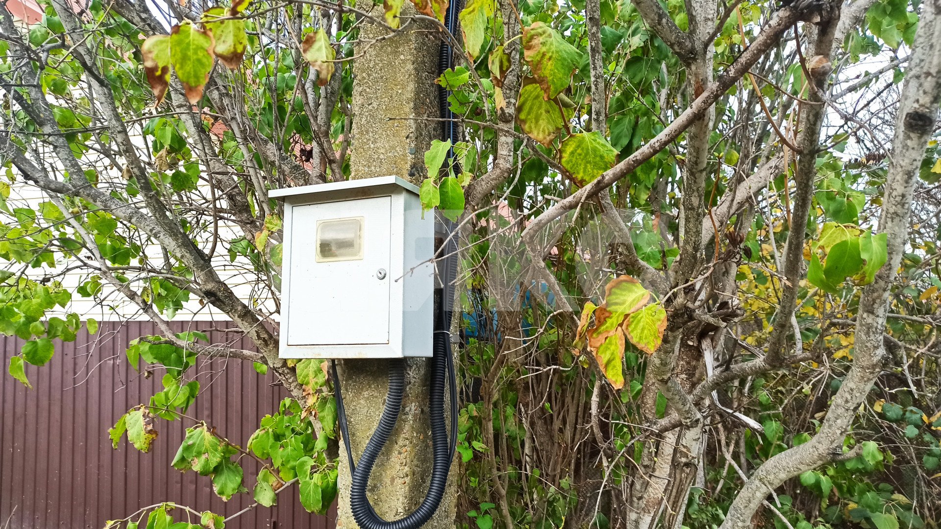 Фото №2: Участок садоводство 5 сот. - СНТ Здоровье, ул. Солнечная, 24