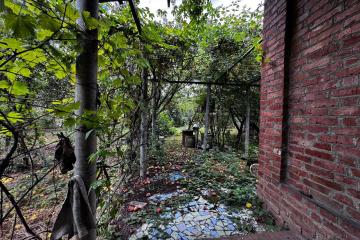 Фото №3: Дом 48 м² - Елизаветинская, ст Кубань-1, ул. Вишнёвая, 177