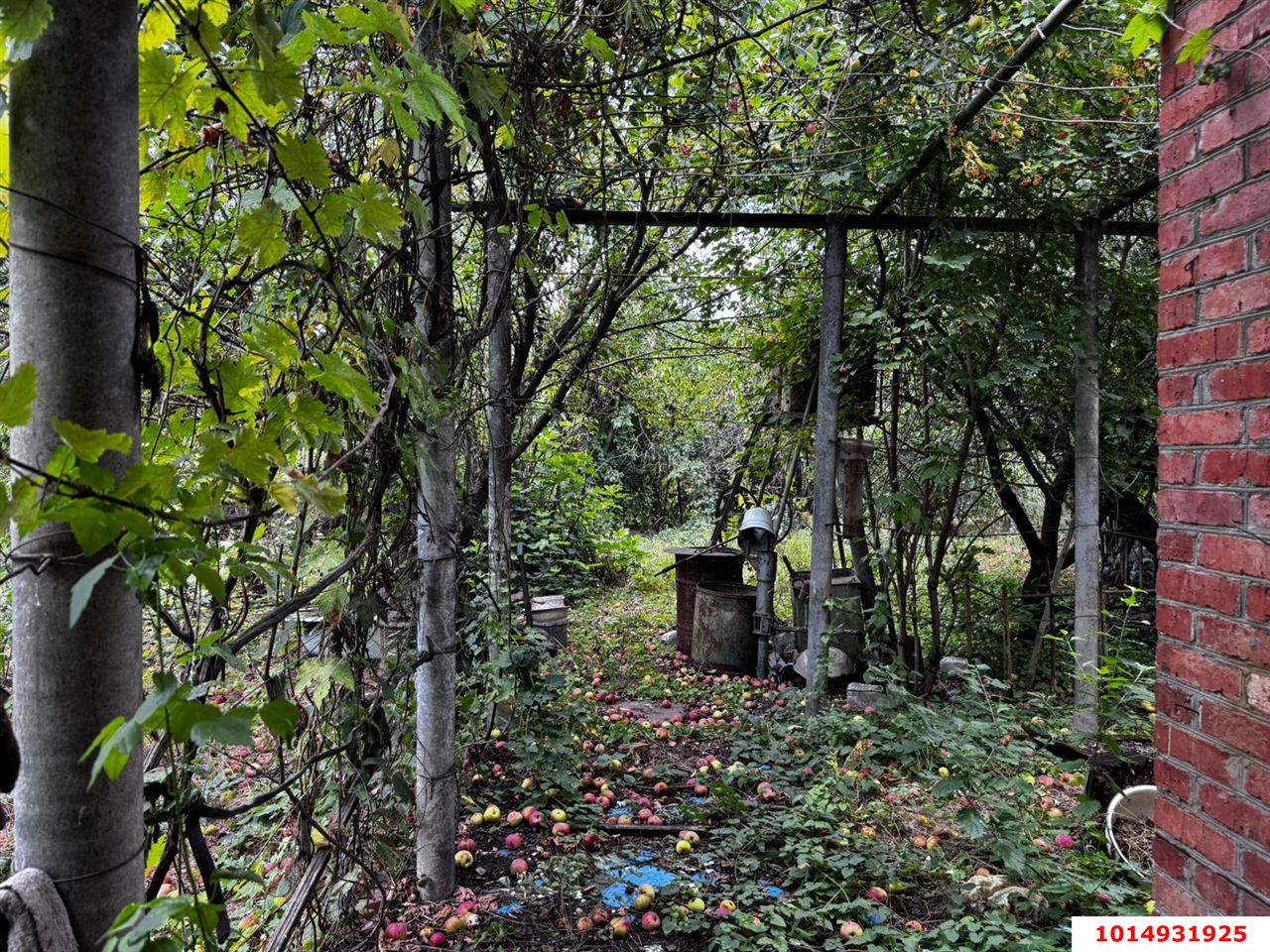 Фото №9: Дом 48 м² + 6 сот. - Елизаветинская, Стекольщик, ул. Виноградная, 22