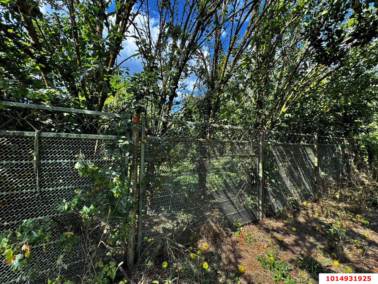 Фото №10: Дом 48 м² + 6 сот. - Елизаветинская, Прикубанский внутригородской округ, ст Кубань-1, ул. Вишнёвая, 177