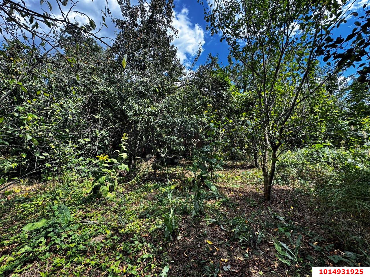 Фото №7: Дом 48 м² + 6 сот. - Елизаветинская, Прикубанский внутригородской округ, ст Кубань-1, ул. Вишнёвая, 177