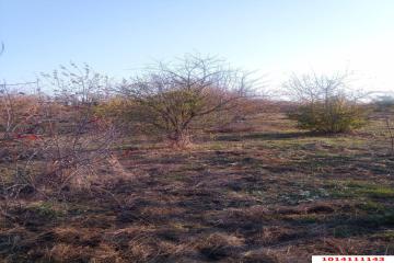 Фото №2: Дом 44 м² - Отрубные, ул. Степная, 22