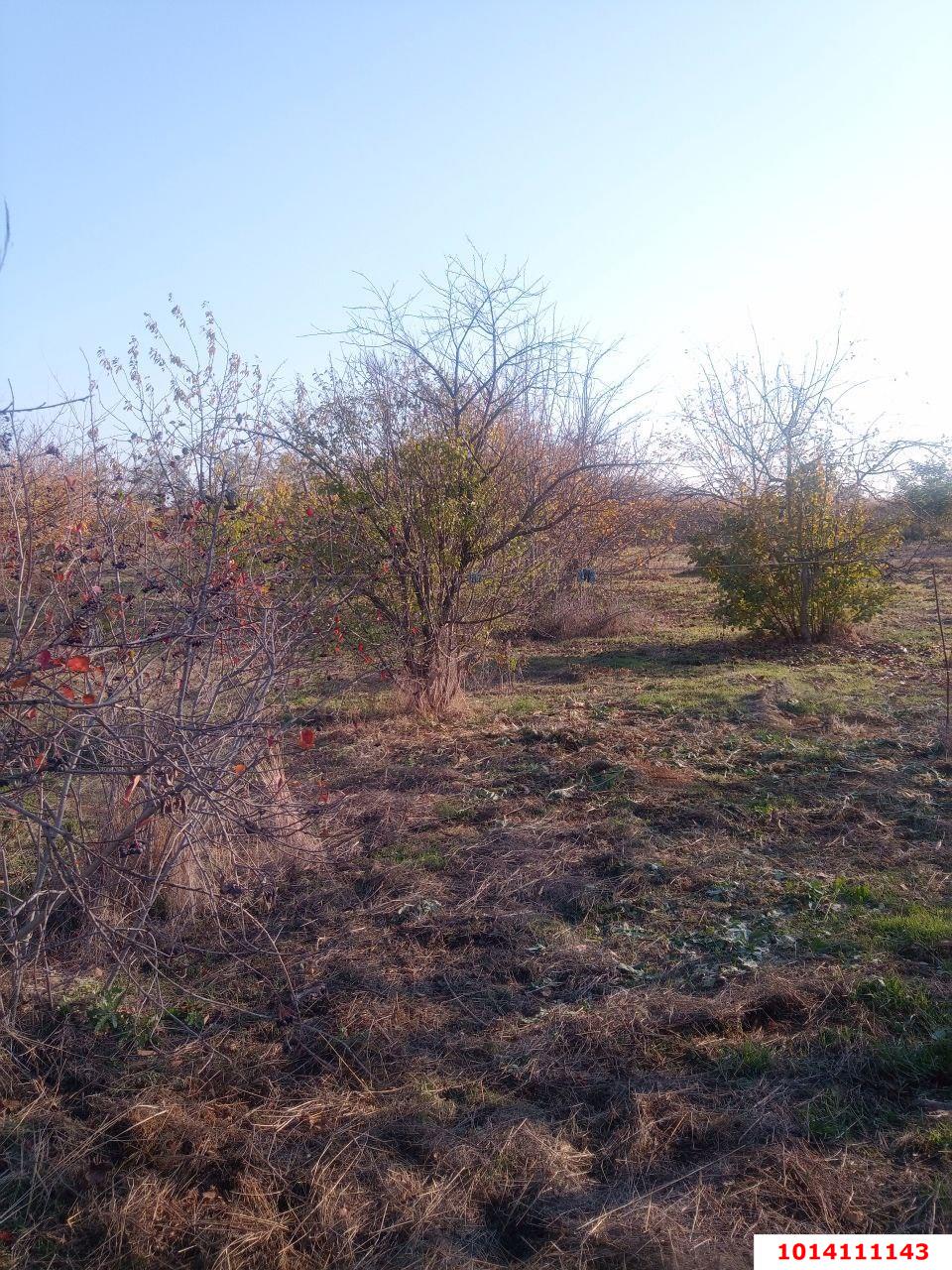 Фото №2: Дом 44 м² + 40 сот. - Отрубные, ул. Степная, 22