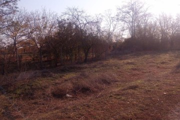 Фото №1: Дом 44 м² - Отрубные, ул. Степная, 22