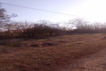 Фото №1: Дом 44 м² - Отрубные, ул. Степная, 22