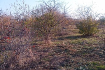 Фото №2: Дом 44 м² - Отрубные, ул. Степная, 22