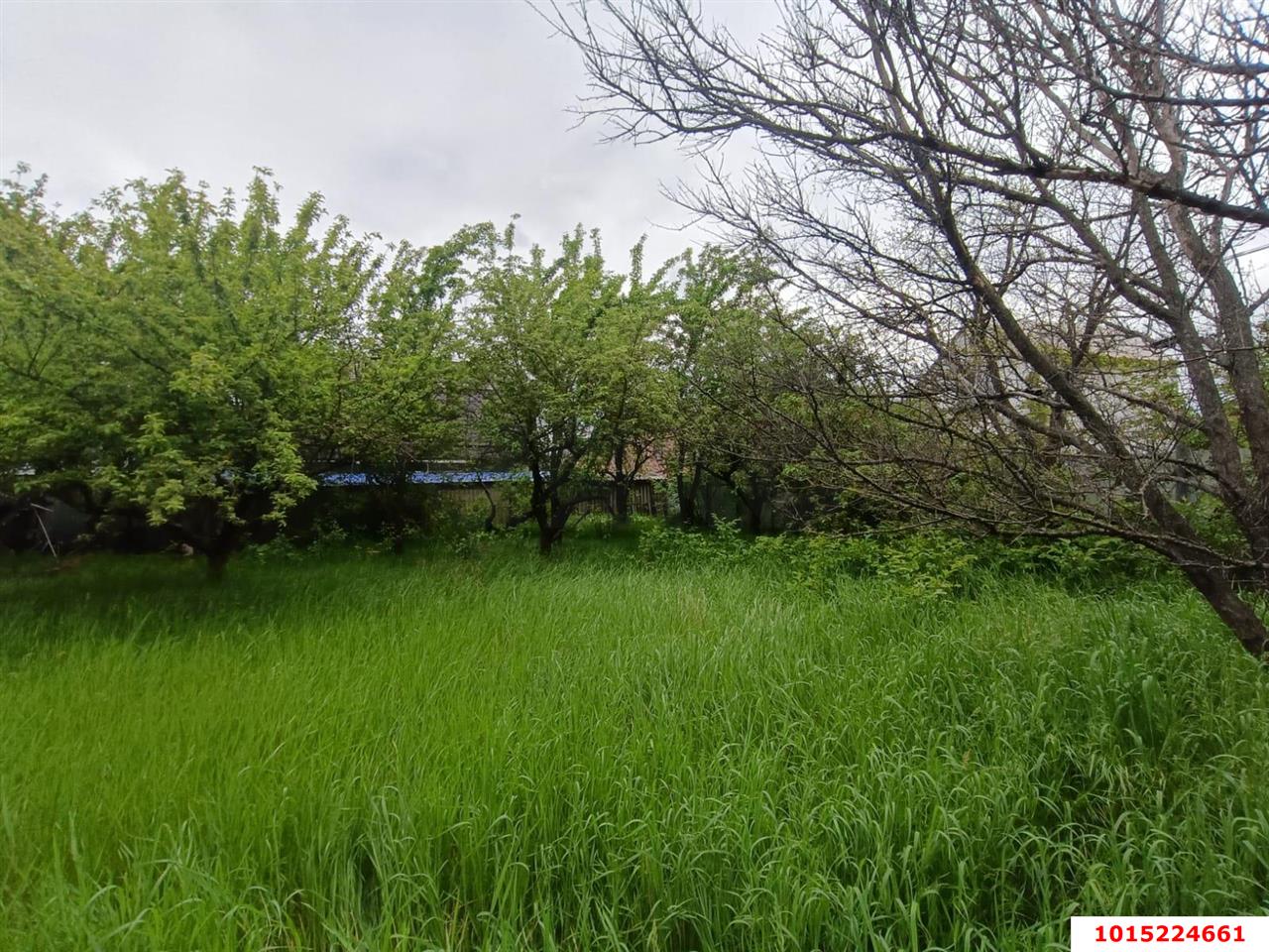 Фото №3: Земельный участок 5.24 сот. - СТ Закубанские Сады, ул. 3-я Линия, 129