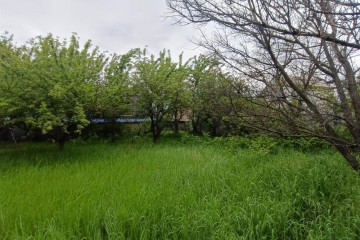 Фото №2: Участок садоводство 5.24 сот. - СТ Закубанские Сады, ул. 3-я Линия, 129