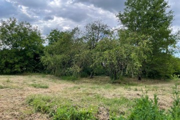 Фото №4: Земельный участок под ИЖС 17 сот. - Смоленская, ул. Шолохова, 15