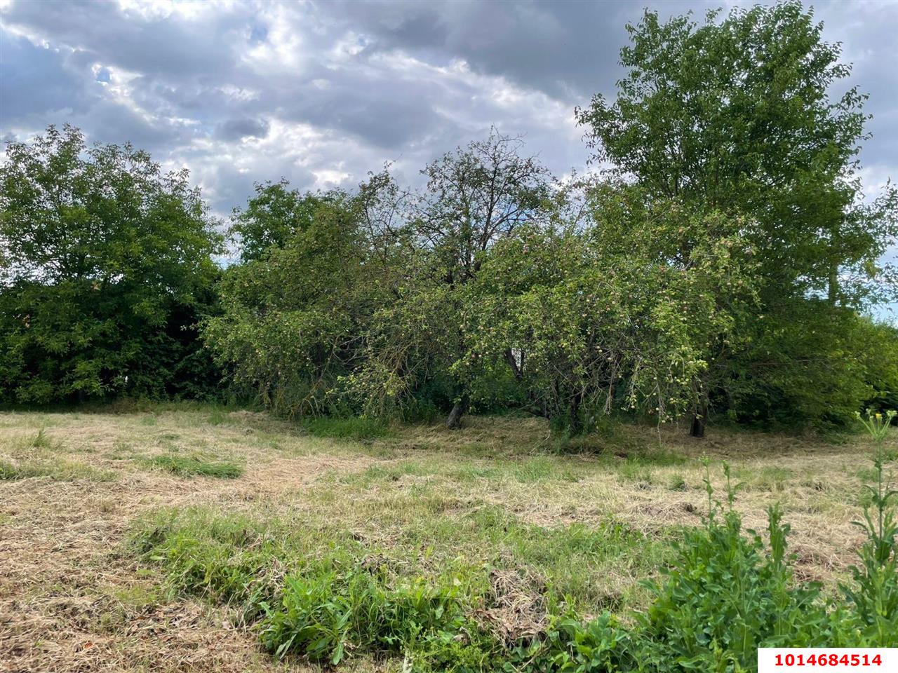 Фото №4: Земельный участок 17 сот. - Смоленская, ул. Шолохова, 15