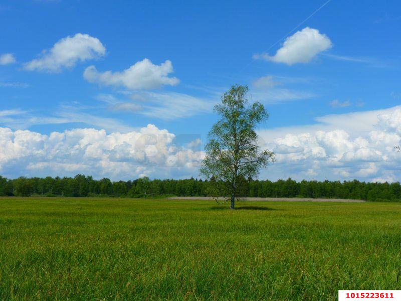 Фото №5: Земельный участок 9.9 сот. - Большевик, ул. Кубанская, 15