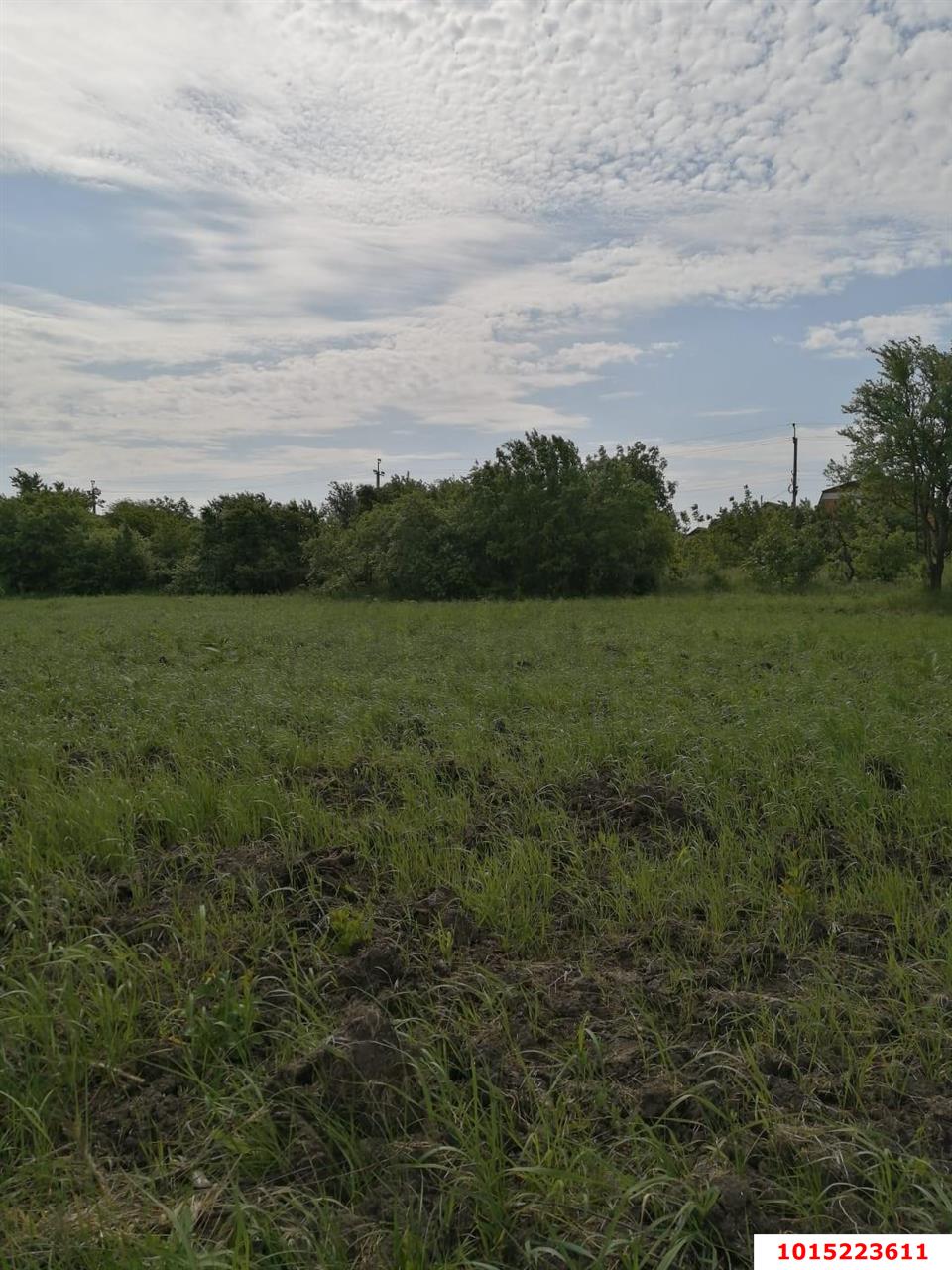 Фото №7: Земельный участок 9.9 сот. - Большевик, ул. Кубанская, 15