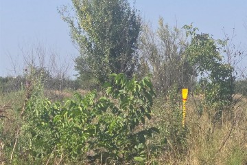 Фото №2: Земельный участок под ИЖС 6 сот. - Энем, ул. имени М.Ш. Бжассо, 5