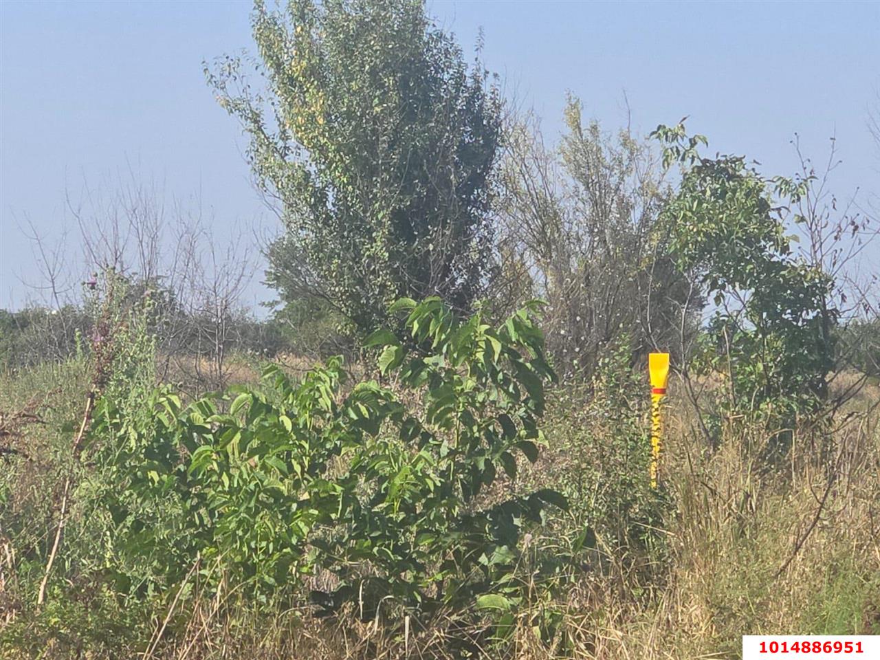 Фото №2: Земельный участок 6 сот. - Энем, ул. имени М.Ш. Бжассо, 5