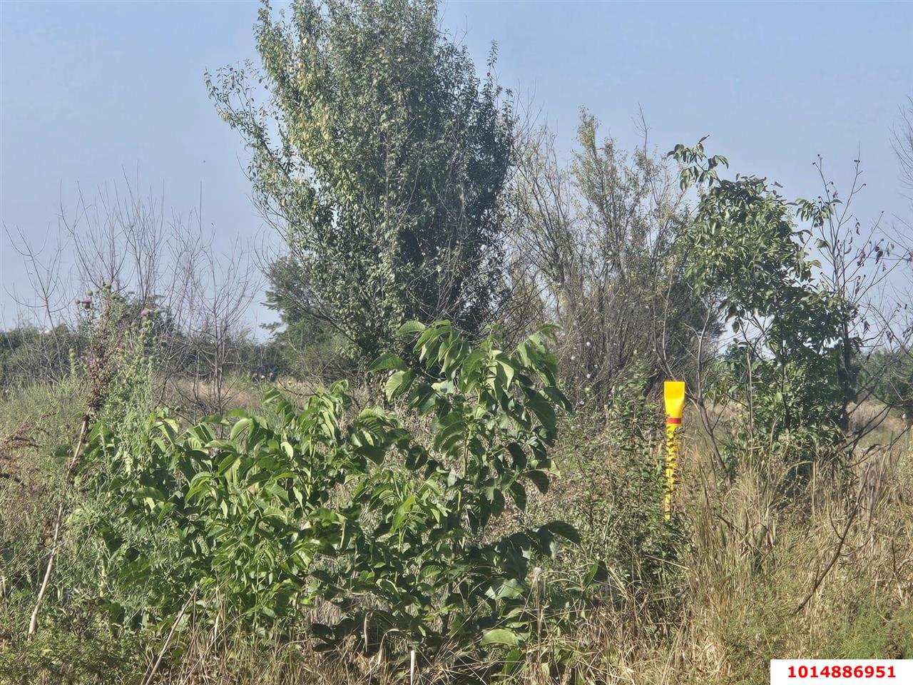 Фото №3: Земельный участок под ИЖС 6 сот. - Энем, ул. имени М.Ш. Бжассо, 5