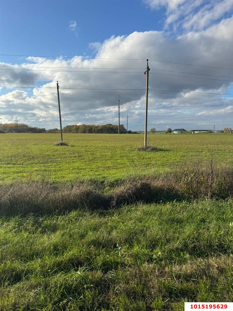 Фото №3: Коммерческая земля 500 сот. - Республика Адыгея (Адыгея) Тахтамукайский район