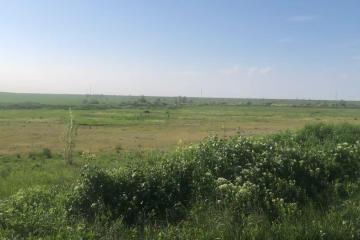 Фото №1: Коммерция 240 м² - Гатлукай, 