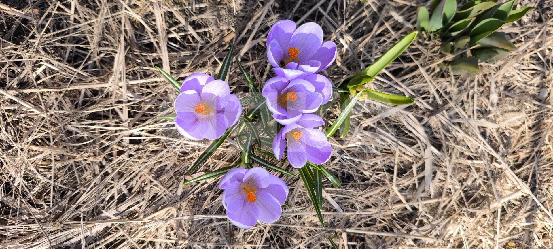 Фото №17: Дом 76 м² + 12 сот. - Медведево, ул. Раздольная, 6