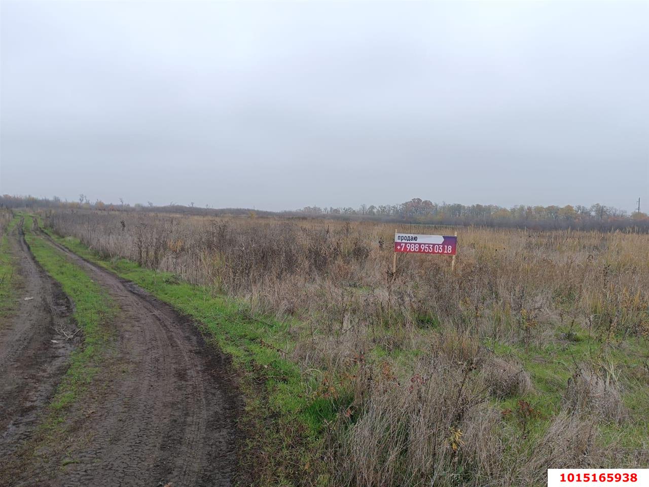 Фото №5: Земельный участок под ИЖС - Дружелюбный, мкр. Прикубанский внутригородской округ, ул. Дружелюбная, 18