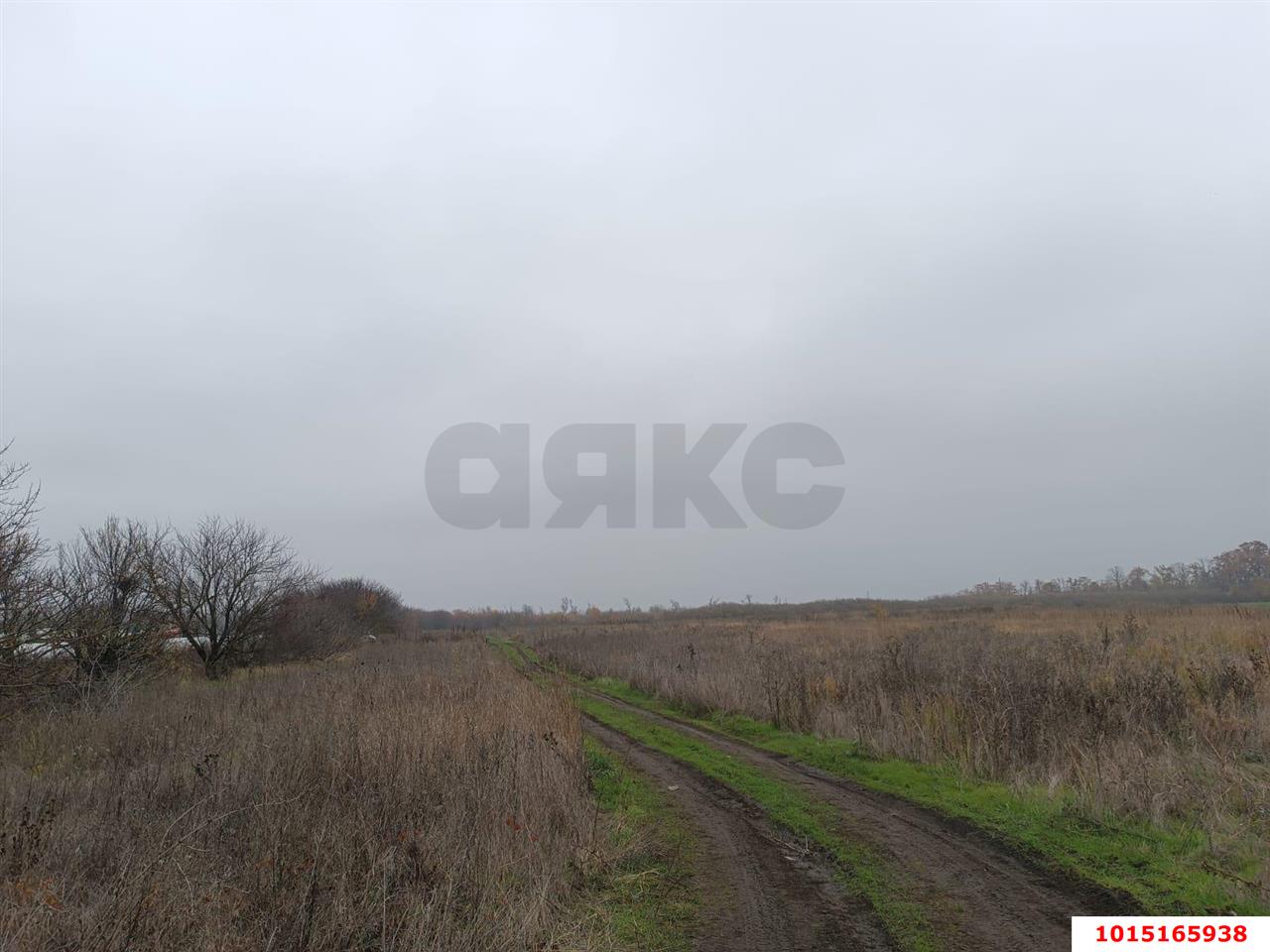 Фото №6: Земельный участок под ИЖС 6 сот. - Дружелюбный, Прикубанский внутригородской округ, ул. Дружелюбная, 18