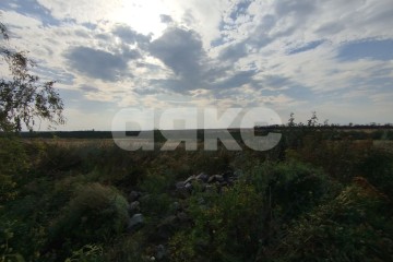 Фото №4: Земельный участок под ИЖС - Юрьевка, ул. Степная, 55