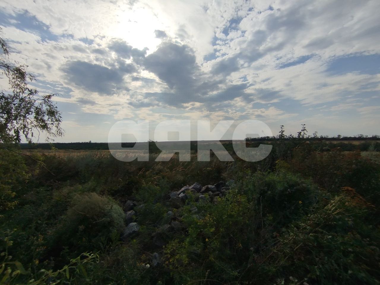 Фото №4: Земельный участок под ИЖС 12 сот. - Юрьевка, ул. Степная, 55