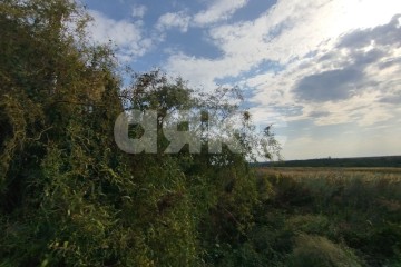 Фото №2: Земельный участок под ИЖС - Юрьевка, ул. Степная, 55