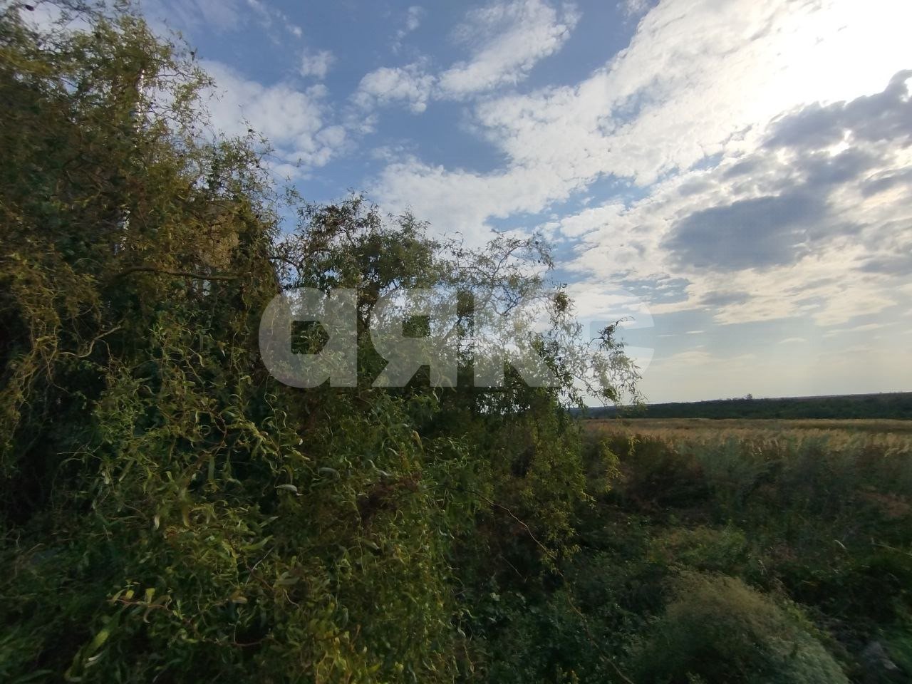 Фото №2: Земельный участок под ИЖС 12 сот. - Юрьевка, ул. Степная, 55