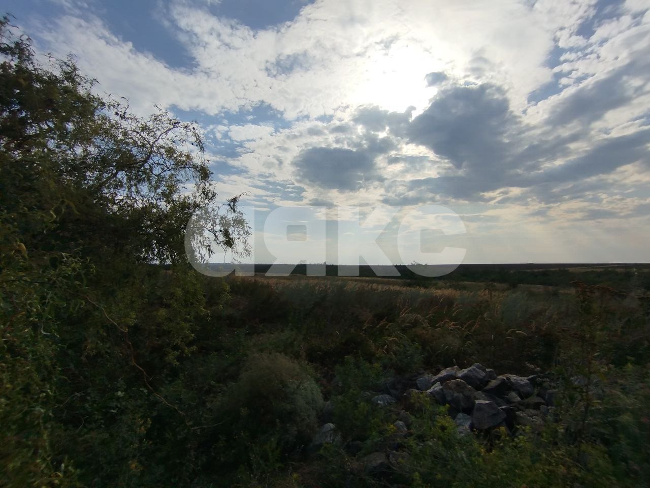 Фото №3: Земельный участок под ИЖС 12 сот. - Юрьевка, ул. Степная, 55