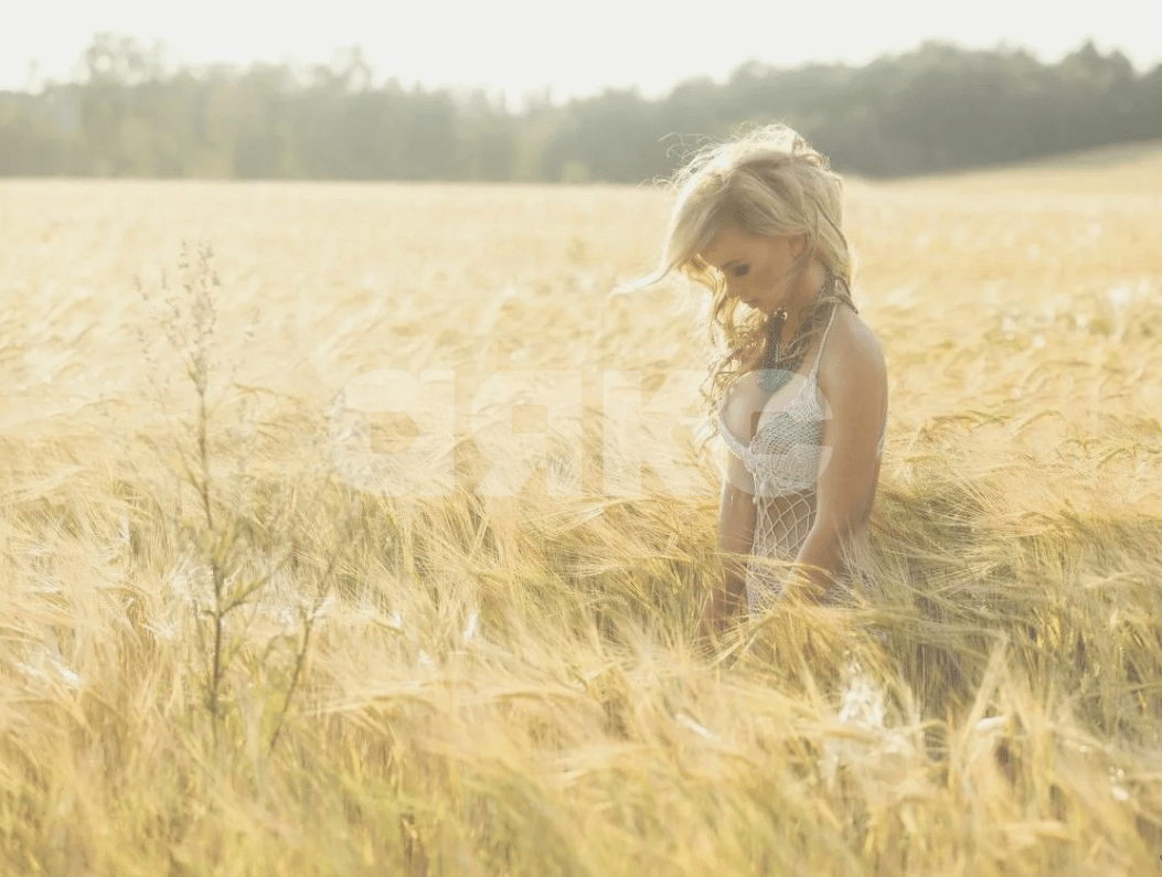 Фото №1: Коммерческая земля 6491 сот. - Ростов-на-Дону, Кировский, пр-кт Ворошиловский, 52/61