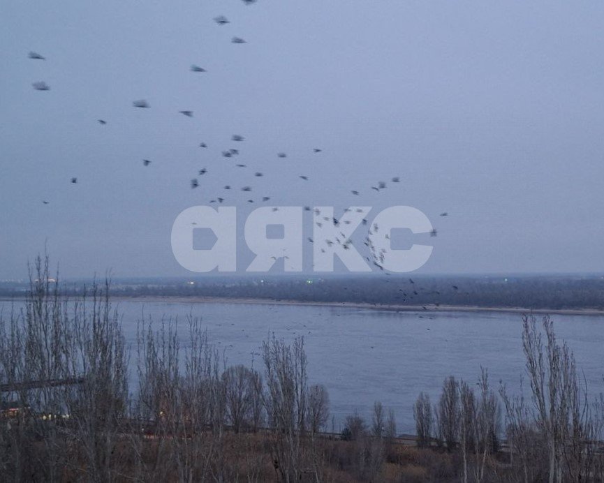 Фото №16: 1-комнатная квартира 38 м² - Волгоград, Тулака, ул. Тулака, 2